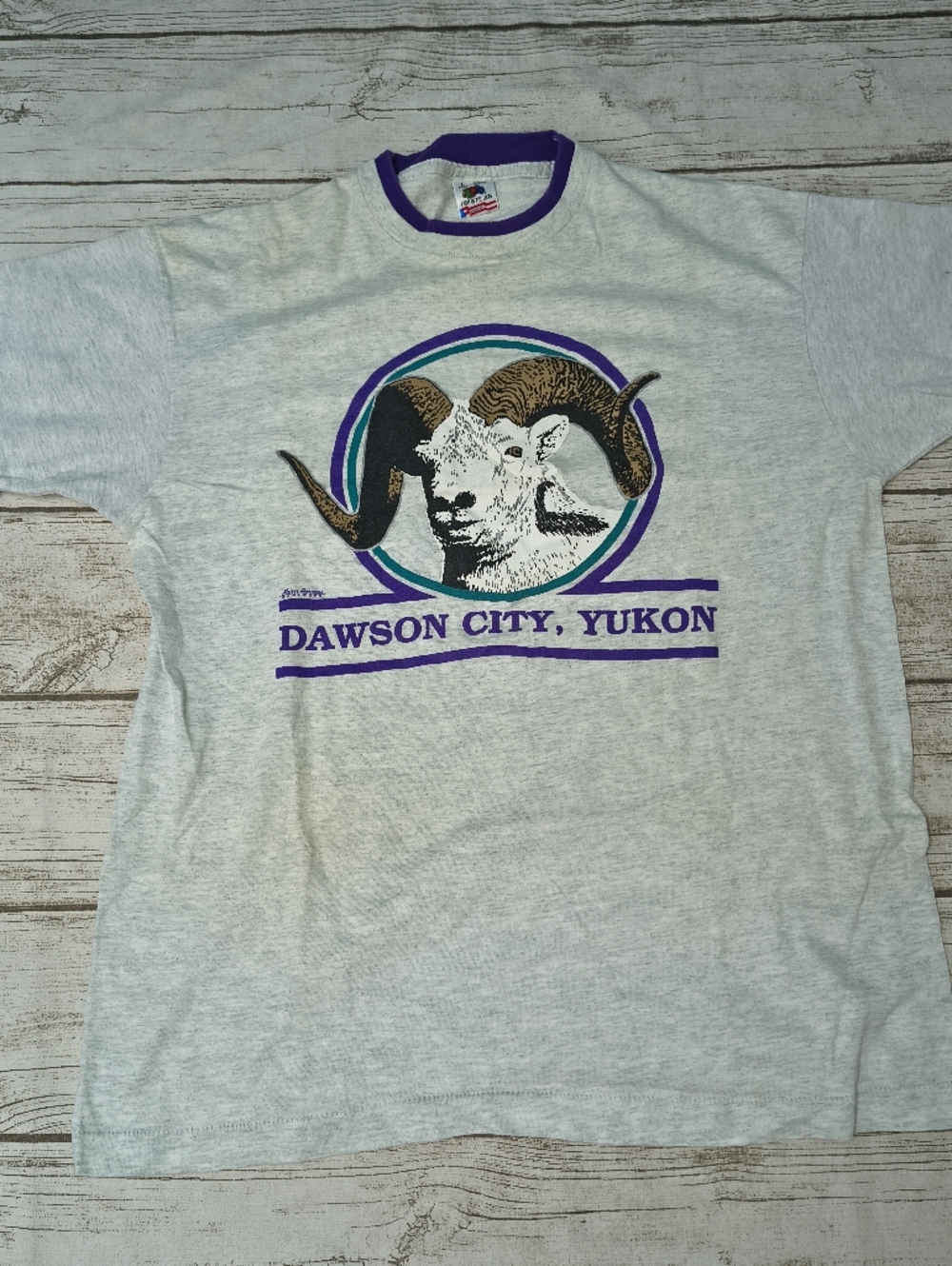 Vintage Fruit Of The Loom Dawson City Yukon T Shirt Size Large